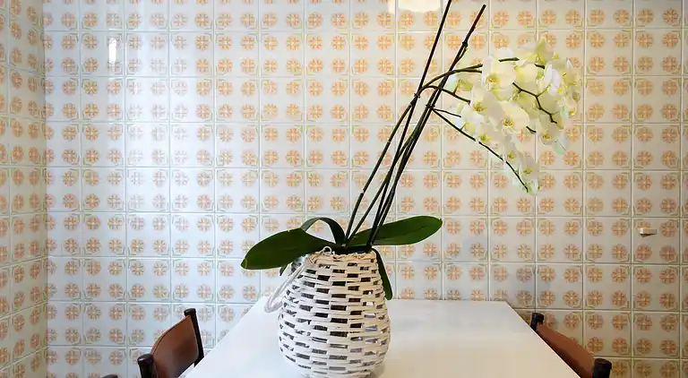 Apartment in Cattolica