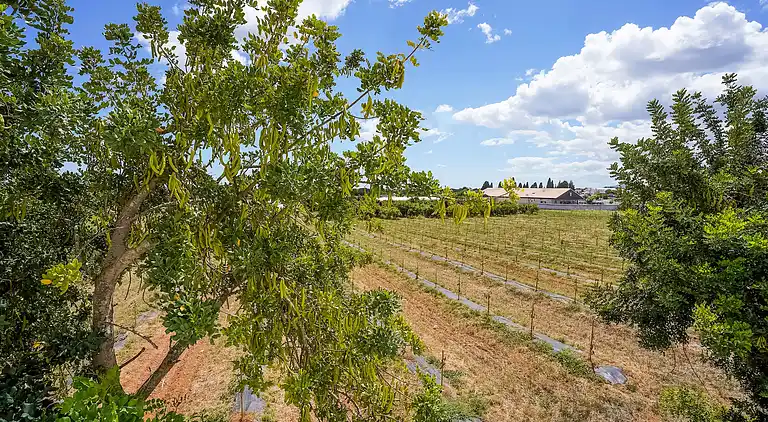 Ferienwohnung in Tavira