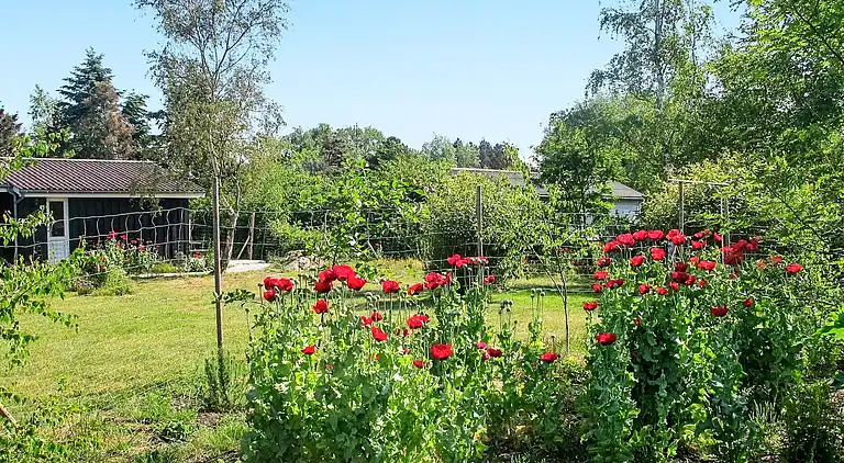 Sommerhus i Rødby