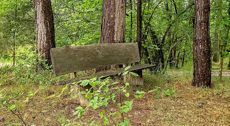 Vakantiehuis in Væggerløse