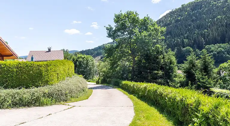 Cottage in La Bresse