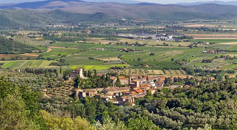 Farm house in Suvereto