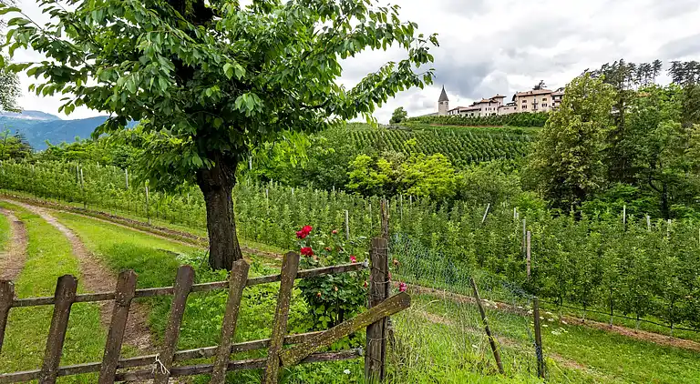 Ferielejlighed i Brez