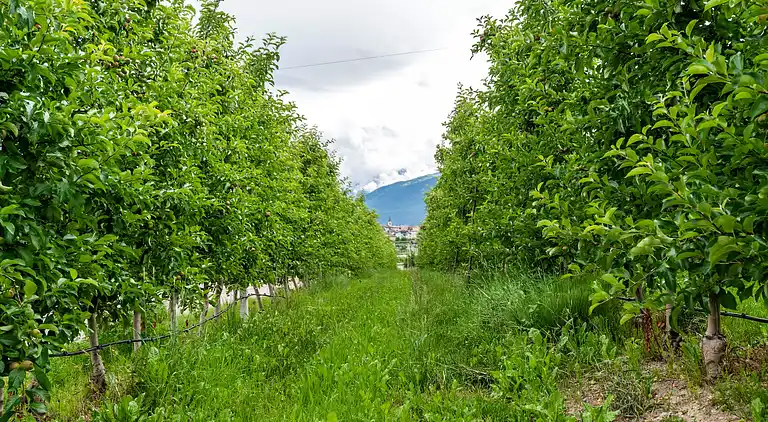 Ferielejlighed i Brez