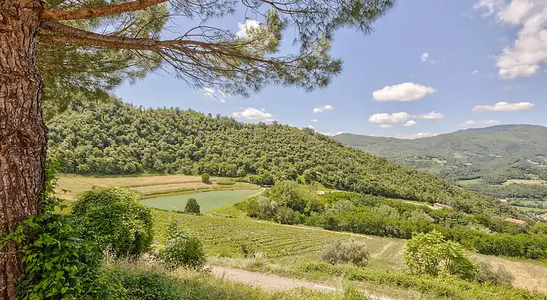 Bondgård i Dicomano