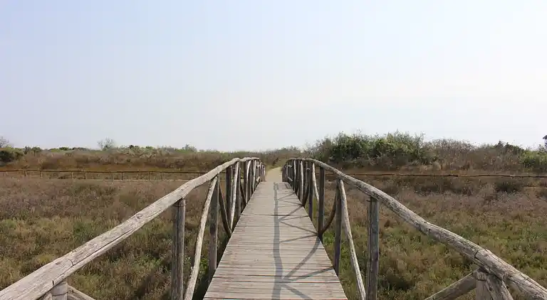 Apartment in Rosolina Mare