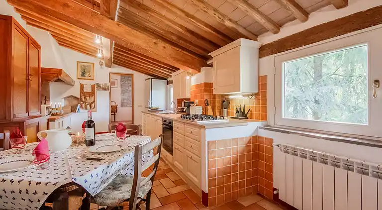 Herregård i Walled City