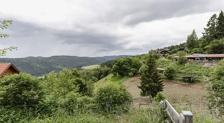 Holiday home in Liebenfels