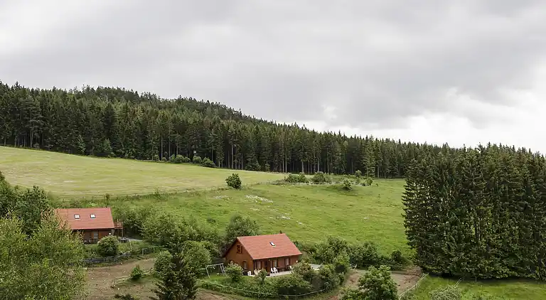 Holiday home in Liebenfels
