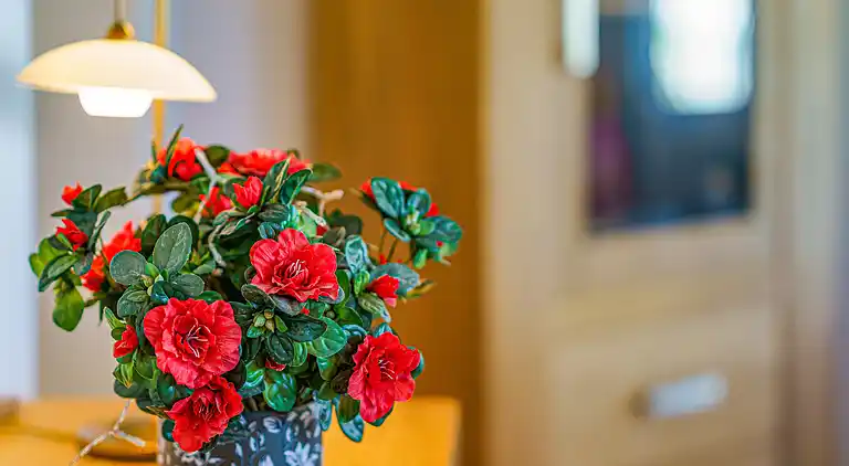 Villa in Benitachell