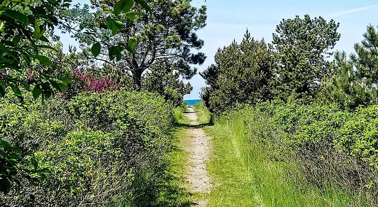 Holiday home in Nykøbing Sjælland