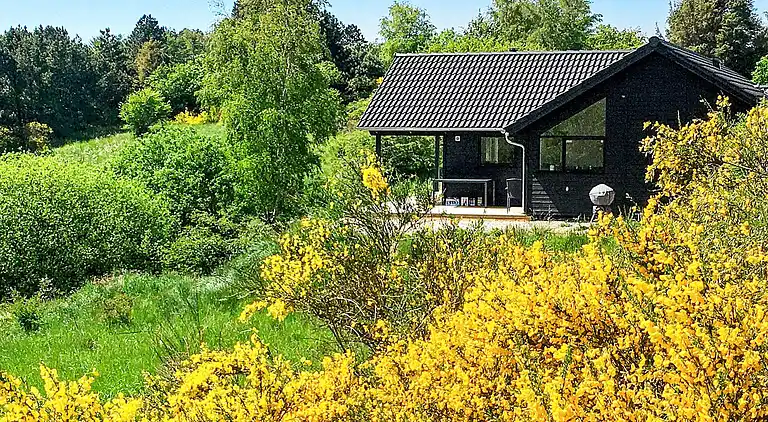 Sommerhus i Knebel