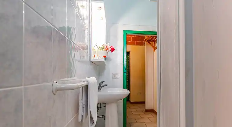 Farm house in Montescudaio