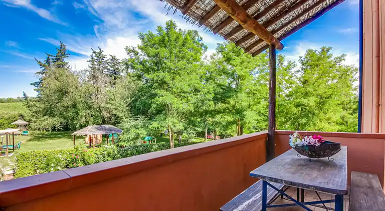 Farm house in Montescudaio