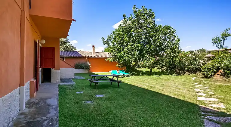 Farm house in Montescudaio