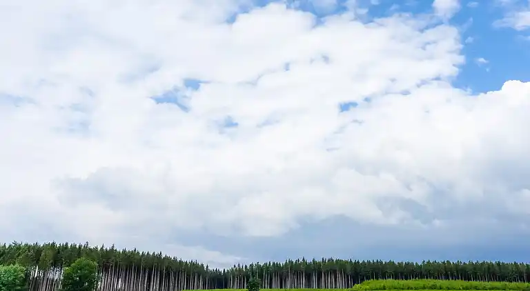 Holiday home in Houffalize