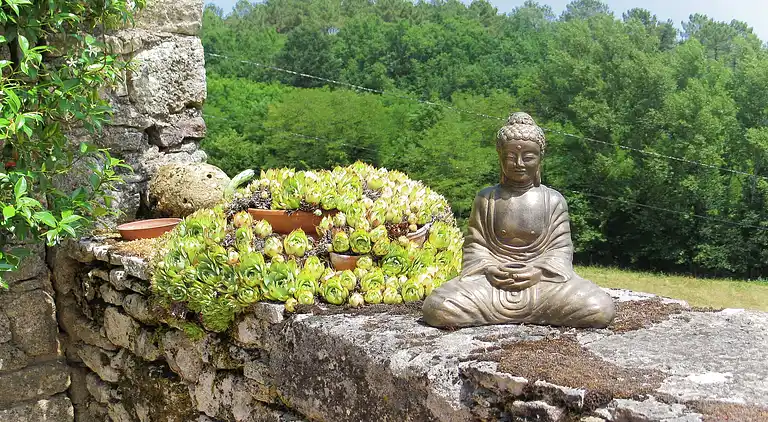 Manor house in Lacapelle-Cabanac