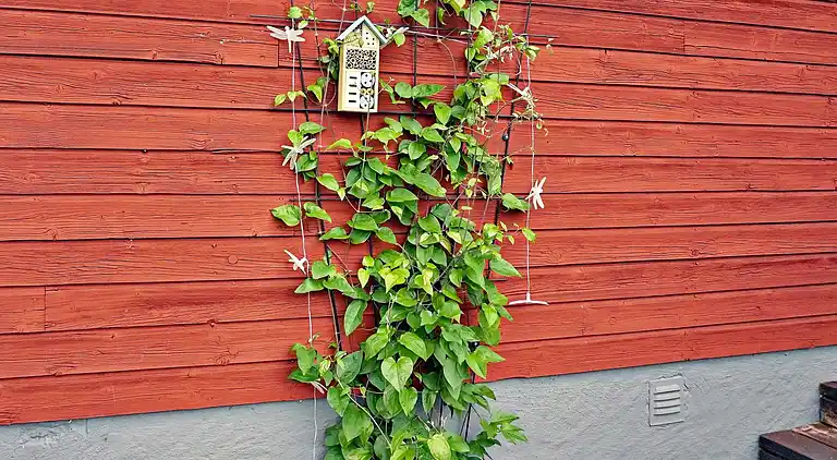 Sommerhus i Österåkers