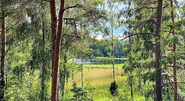 Holiday home in Mönsterås S
