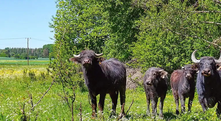 Sommerhus i Enköping S