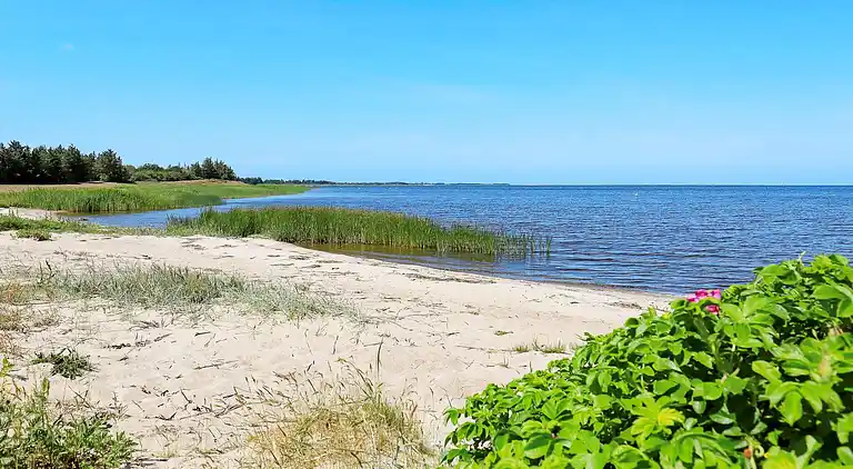 Casa vacanze in Ulfborg