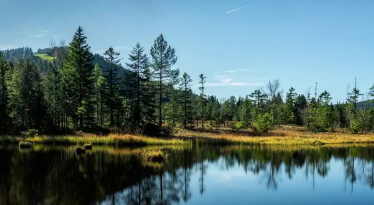 Cottage in La Bresse