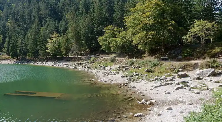 Cottage in La Bresse