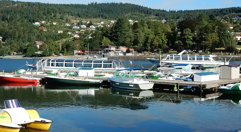Cottage in La Bresse