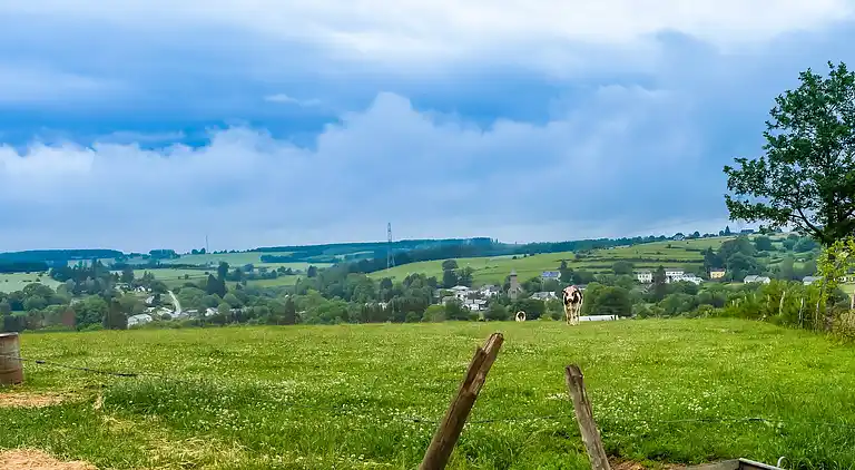 Holiday home in Houffalize