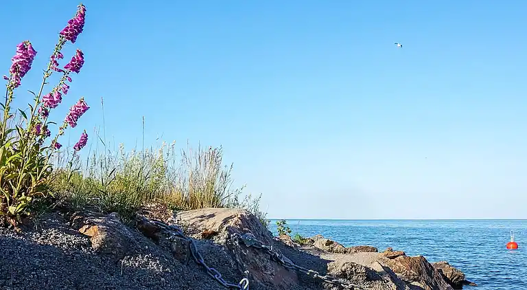 Sommerhus i Vänersborgs