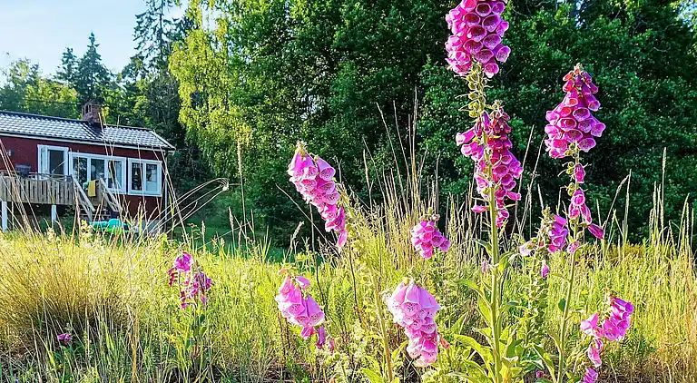 Sommerhus i Vänersborgs