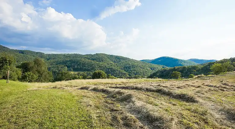 Apartment in Anghiari