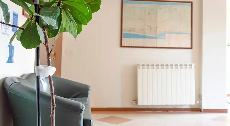 Apartment in San Giuliano a mare