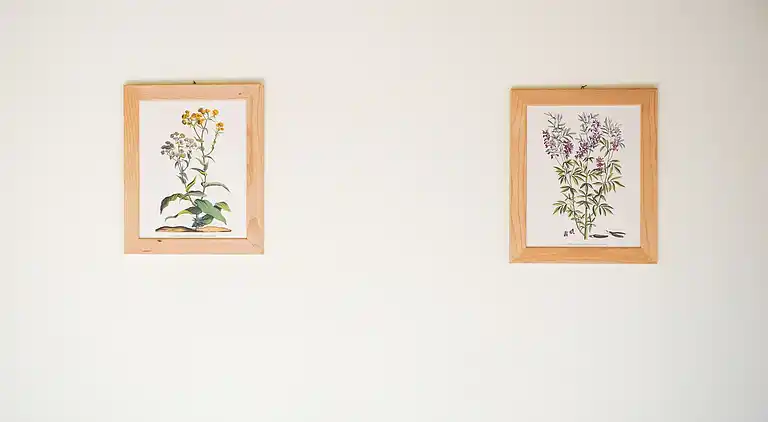 Apartment in Anghiari