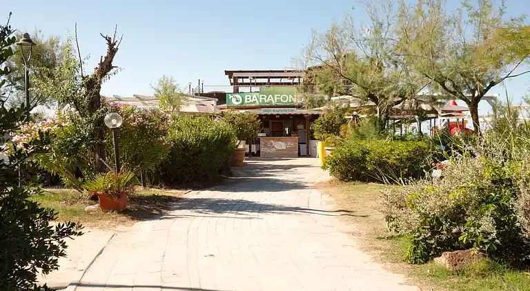 Apartment in San Giuliano a mare