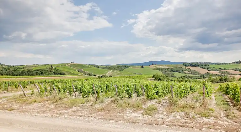 Farm house in Poggibonsi