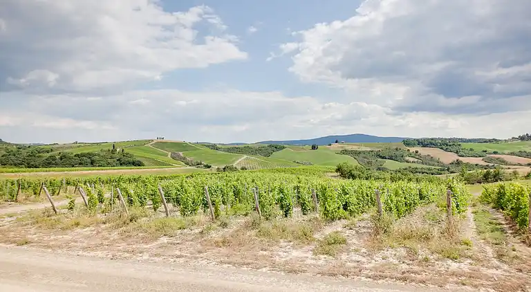 Farm house in Poggibonsi