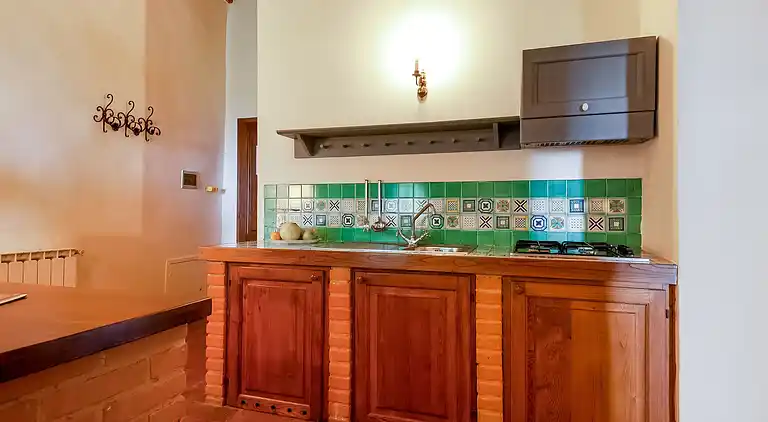 Farm house in Castellina in Chianti