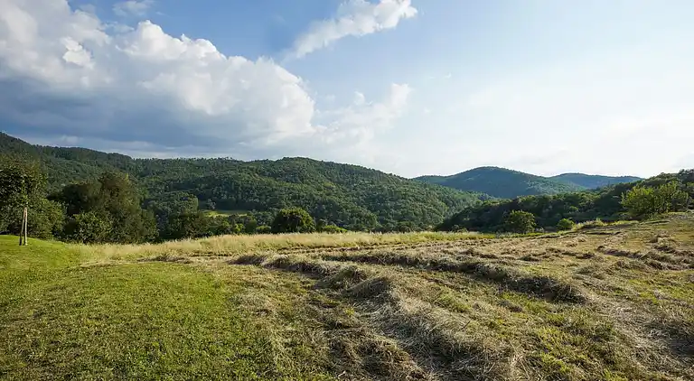 Apartment in Anghiari