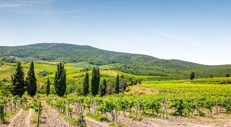 Apartamento en Lajatico