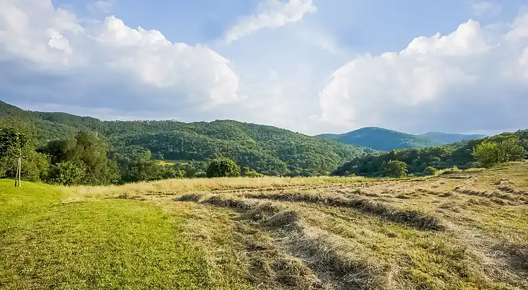 Apartamento en Anghiari