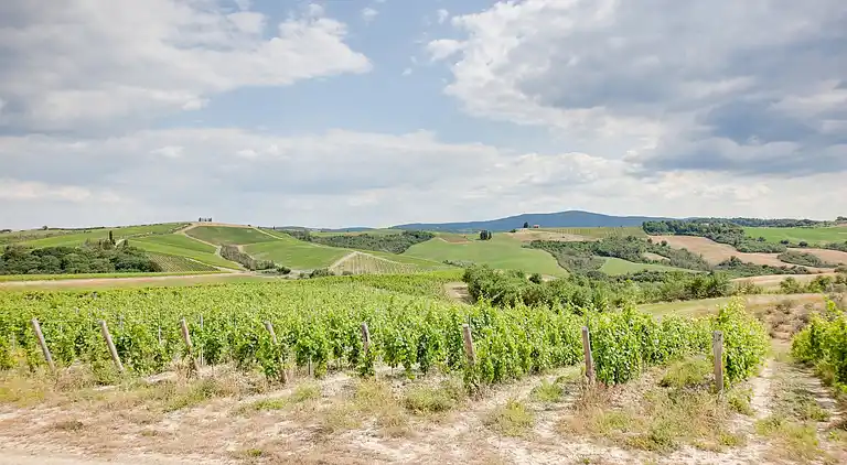 Farm house in Poggibonsi