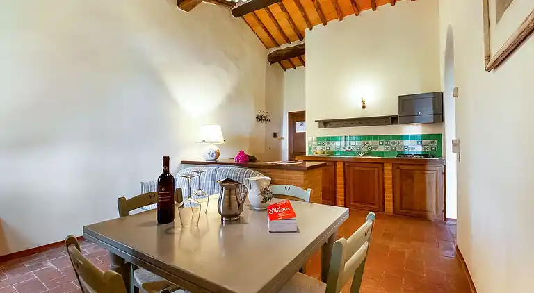 Farm house in Castellina in Chianti