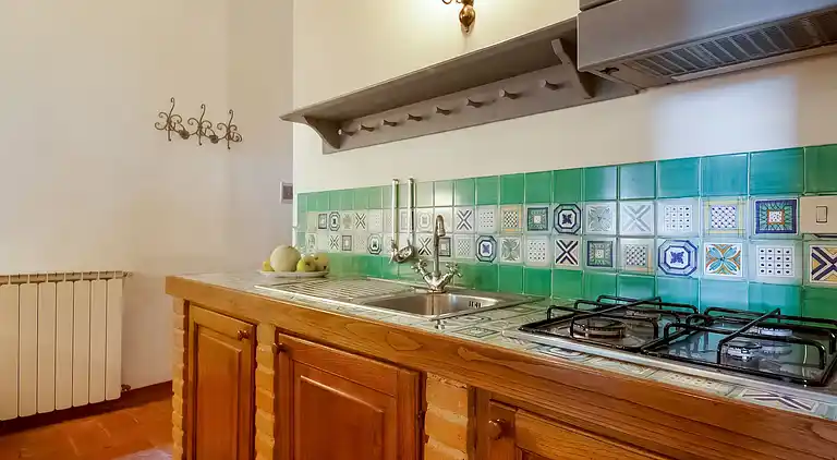 Farm house in Castellina in Chianti