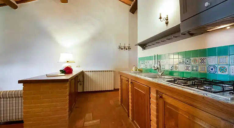 Farm house in Castellina in Chianti