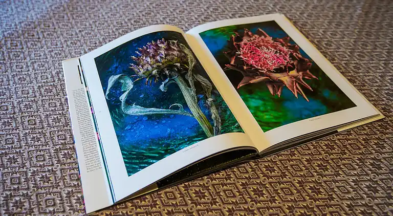 Holiday home in Anghiari