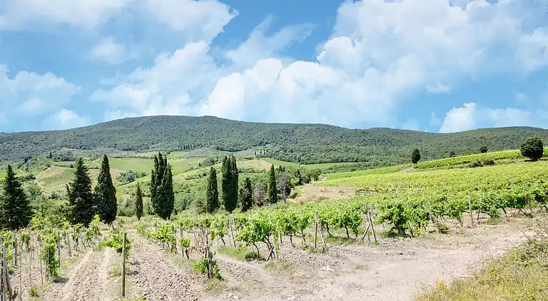 Leilighet i Lajatico