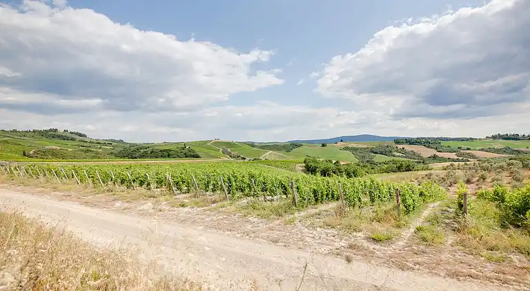 Farm house in Poggibonsi