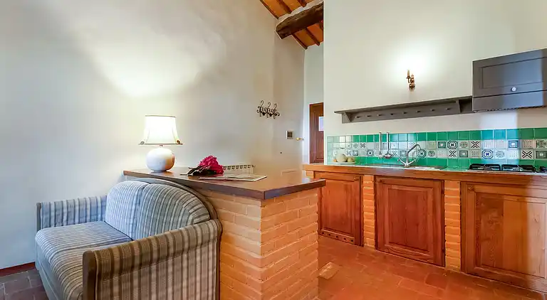 Farm house in Castellina in Chianti