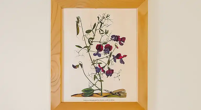 Apartment in Anghiari